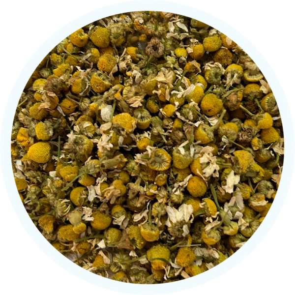 Manzanilla Dulce (Flor)