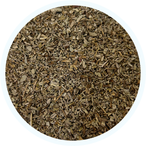 Salvia (Hojas Cortadas)