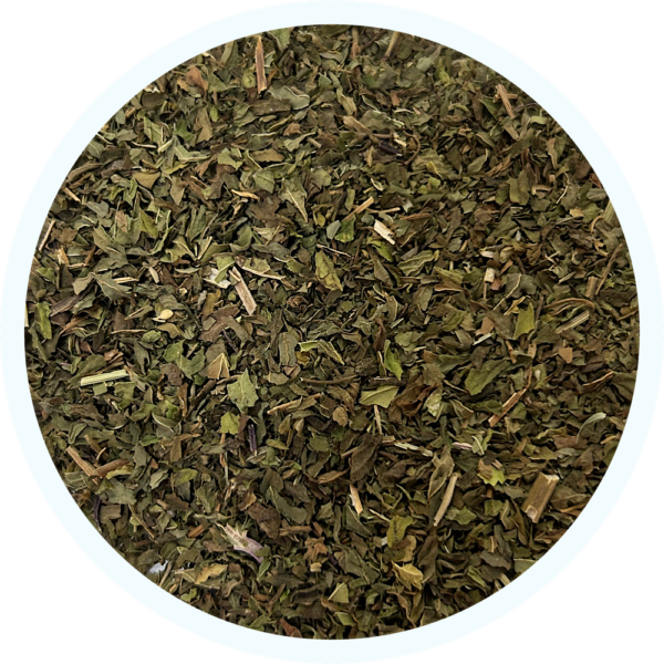 Menta